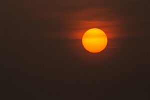 Zon